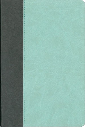 Elberfelder Standardbibel - Kunstleder anthrazit/mint